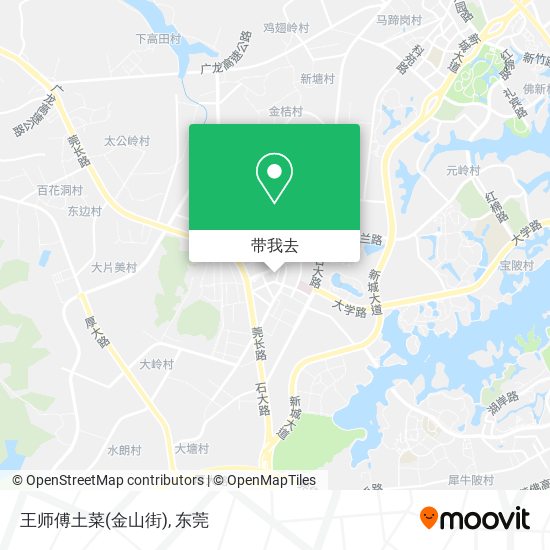 王师傅土菜(金山街)地图