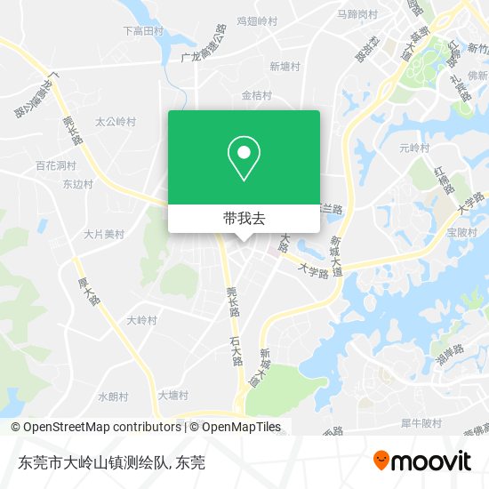东莞市大岭山镇测绘队地图