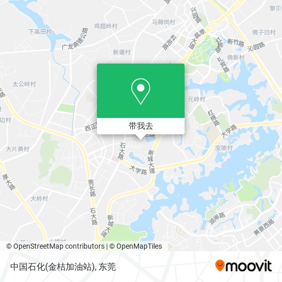 中国石化(金桔加油站)地图