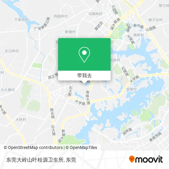 东莞大岭山叶桂源卫生所地图