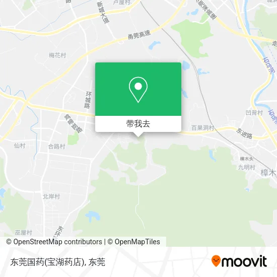 东莞国药(宝湖药店)地图