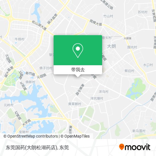 东莞国药(大朗松湖药店)地图