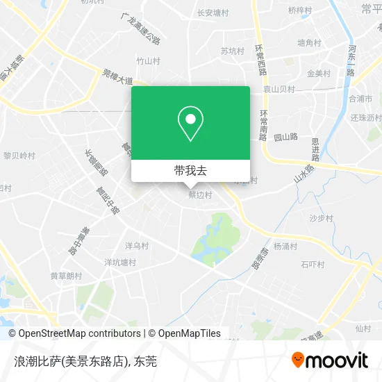 浪潮比萨(美景东路店)地图