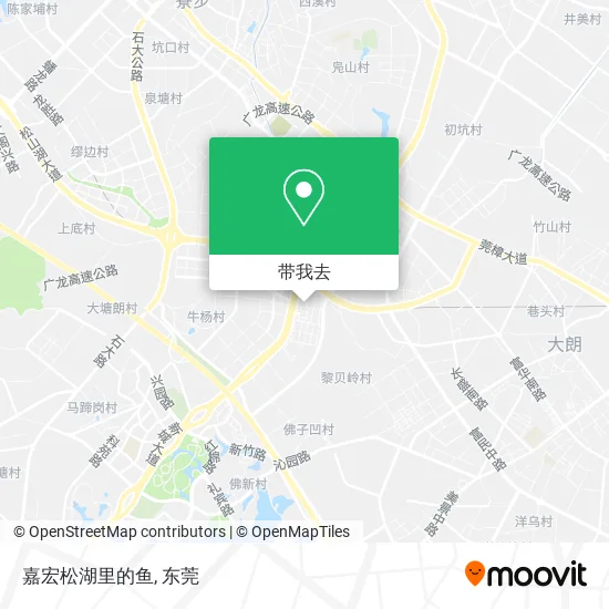 嘉宏松湖里的鱼地图