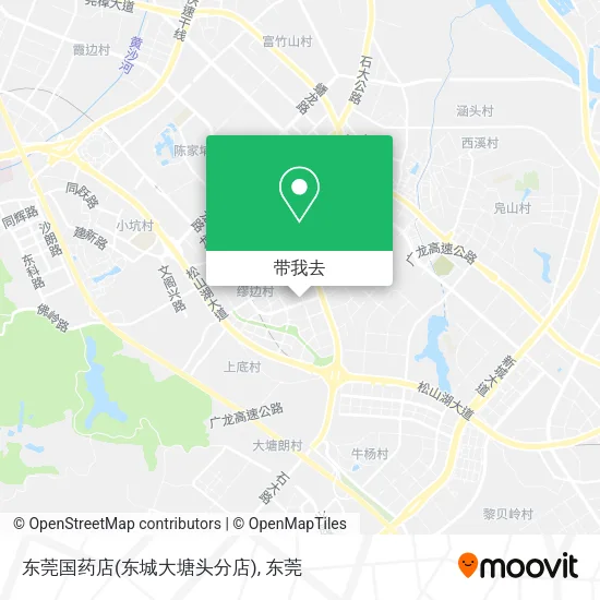 东莞国药店(东城大塘头分店)地图