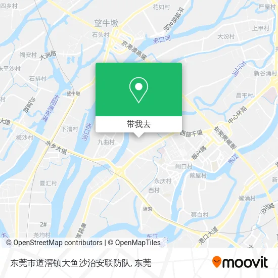 东莞市道滘镇大鱼沙治安联防队地图