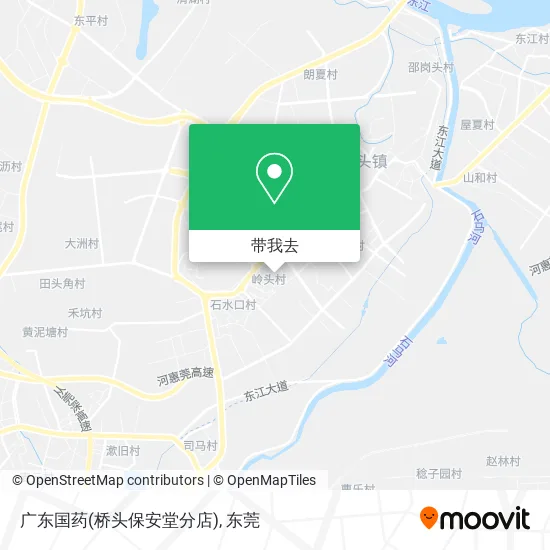广东国药(桥头保安堂分店)地图