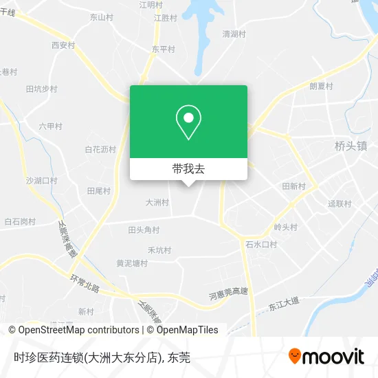 时珍医药连锁(大洲大东分店)地图