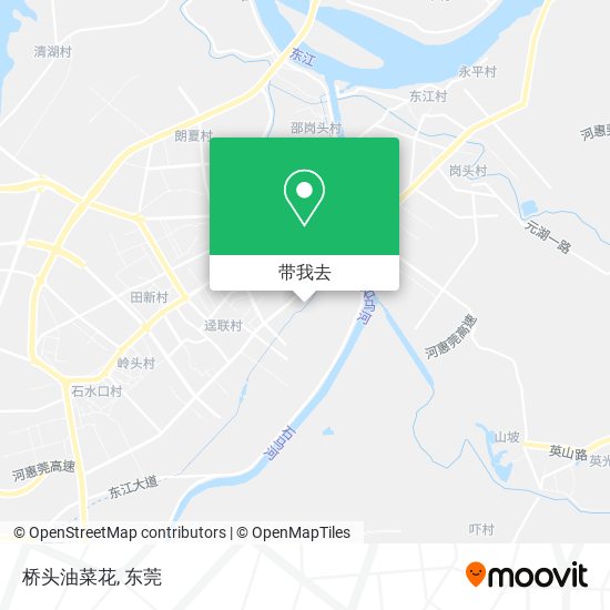 桥头油菜花地图