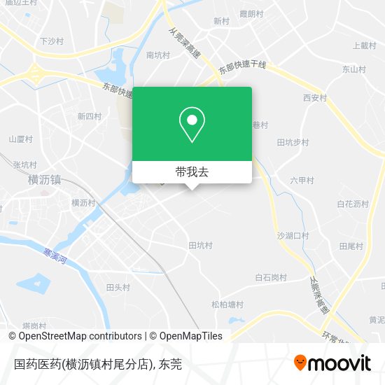 国药医药(横沥镇村尾分店)地图