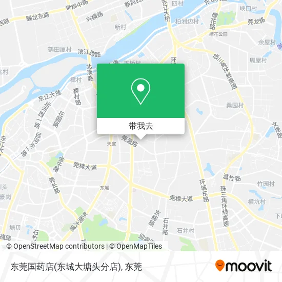 东莞国药店(东城大塘头分店)地图