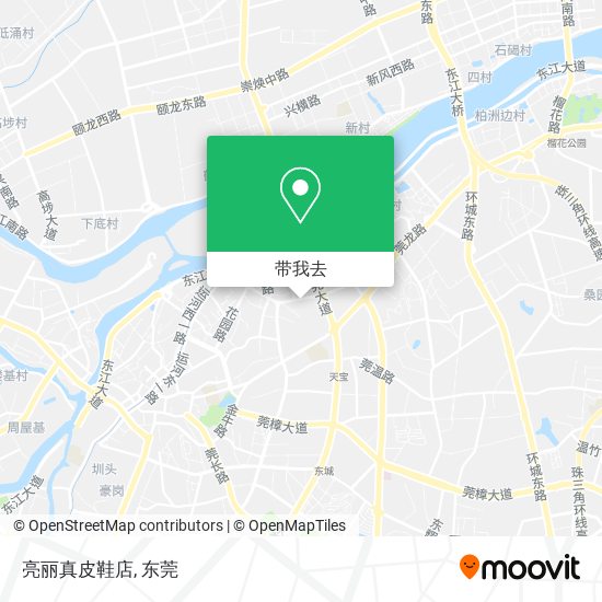 亮丽真皮鞋店地图
