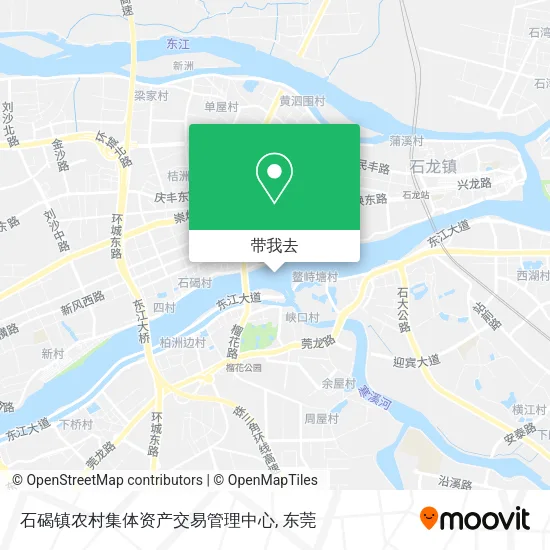 石碣镇农村集体资产交易管理中心地图