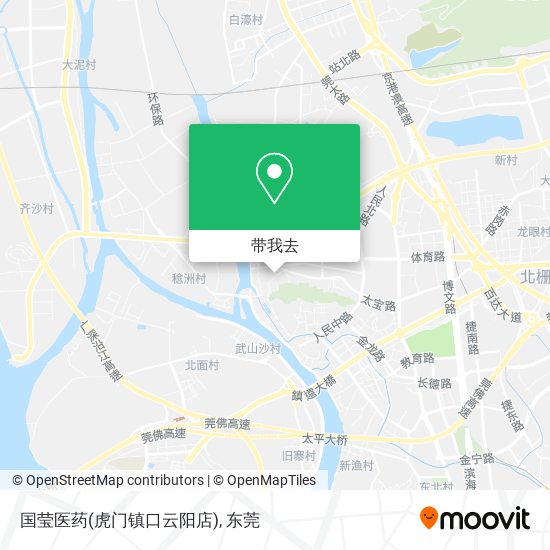 国莹医药(虎门镇口云阳店)地图