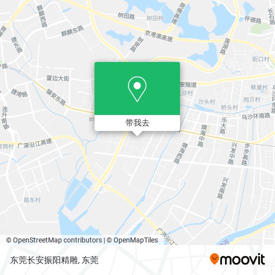 东莞长安振阳精雕地图