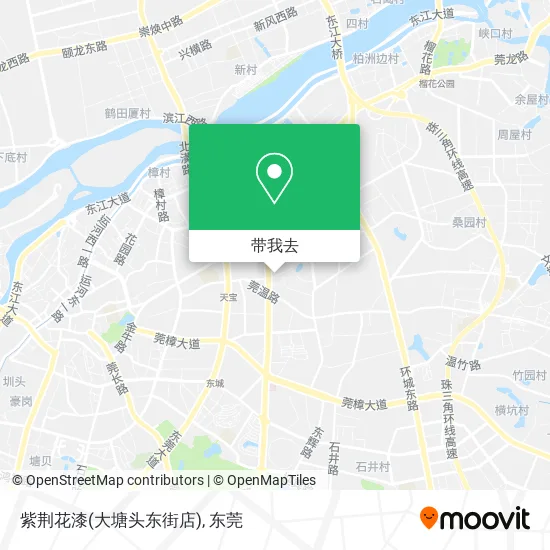 紫荆花漆(大塘头东街店)地图