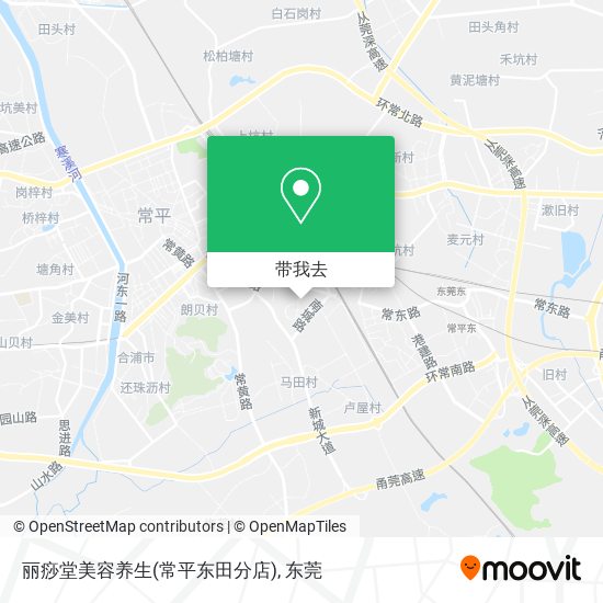 丽痧堂美容养生(常平东田分店)地图