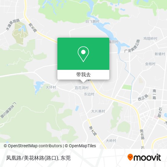凤凰路/美花林路(路口)地图