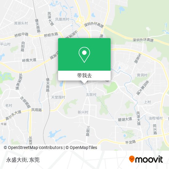 永盛大街地图