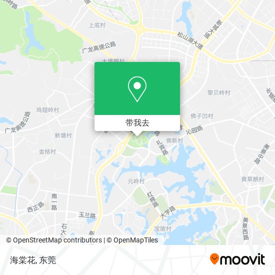 海棠花地图