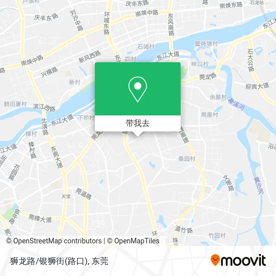 狮龙路/银狮街(路口)地图