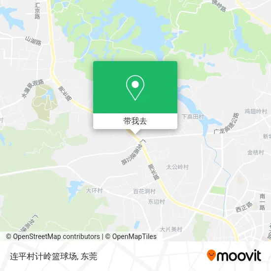 连平村计岭篮球场地图