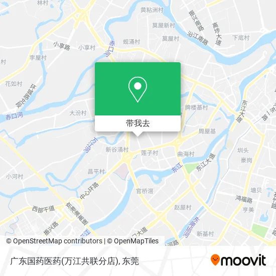 广东国药医药(万江共联分店)地图