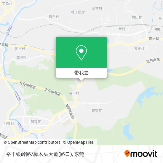 裕丰银岭路/樟木头大道(路口)地图