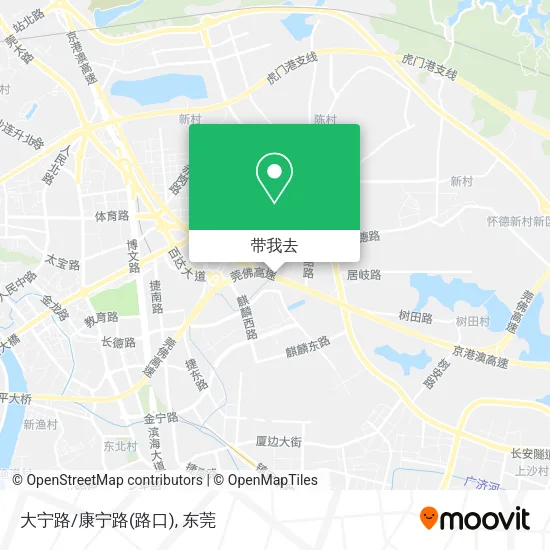 大宁路/康宁路(路口)地图