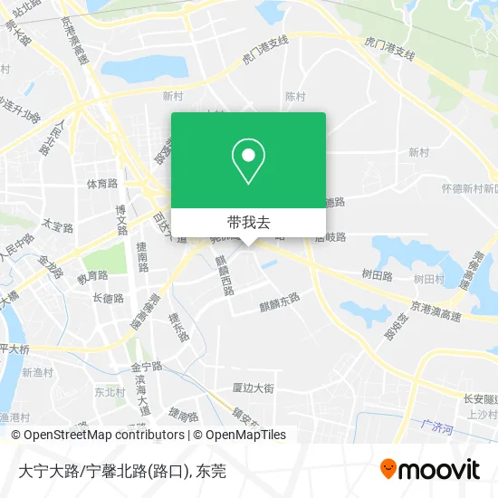 大宁大路/宁馨北路(路口)地图