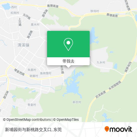 新埔园街与新桃路交叉口地图