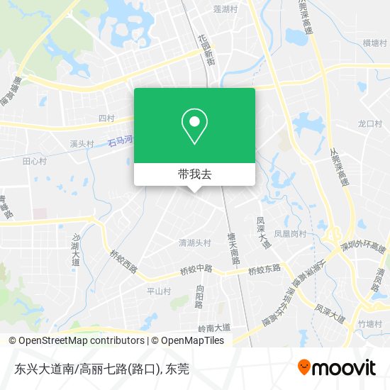 东兴大道南/高丽七路(路口)地图