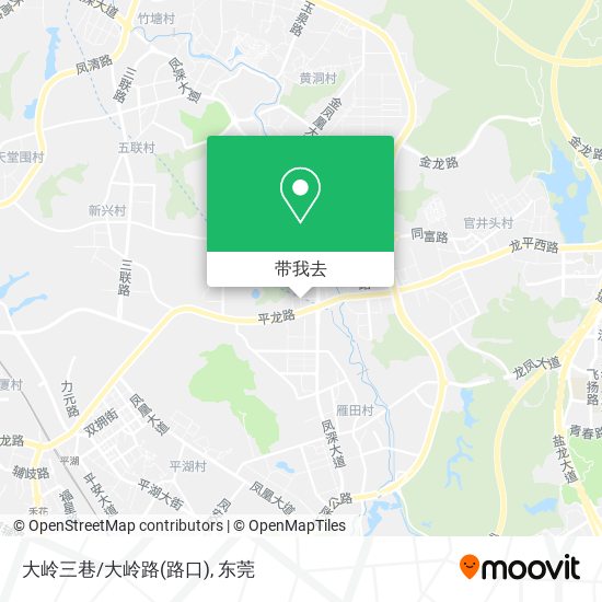 大岭三巷/大岭路(路口)地图