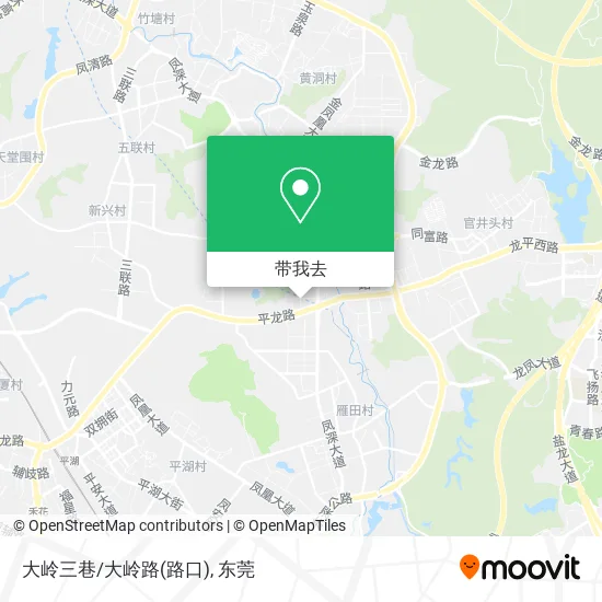 大岭三巷/大岭路(路口)地图