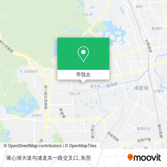 莆心湖大道与浦龙东一路交叉口地图