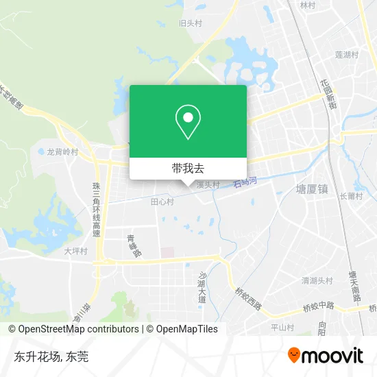 东升花场地图