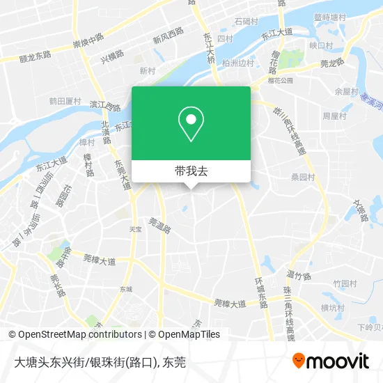 大塘头东兴街/银珠街(路口)地图