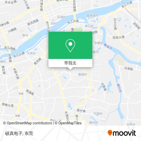 硕真电子地图