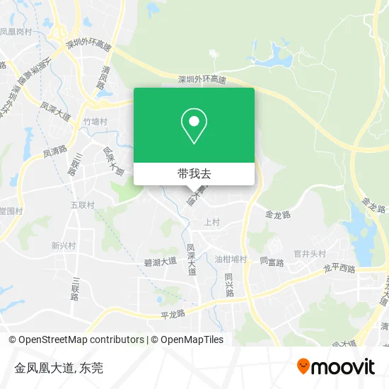 金凤凰大道地图