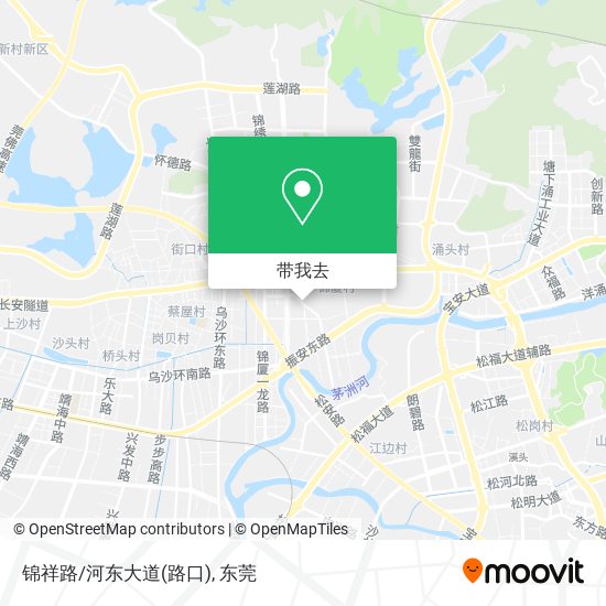 锦祥路/河东大道(路口)地图