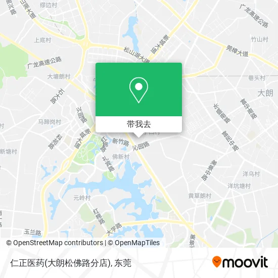 仁正医药(大朗松佛路分店)地图