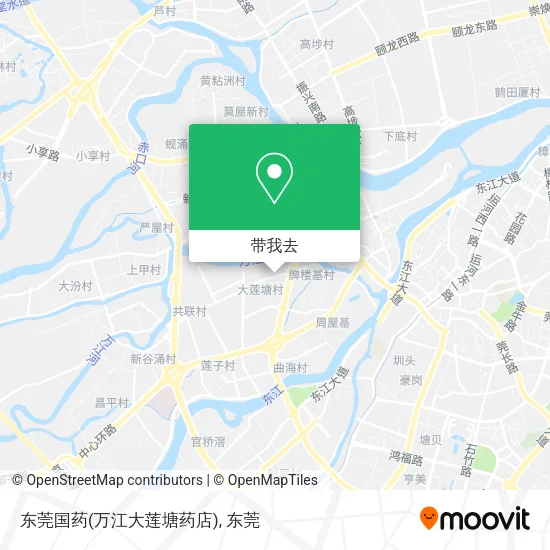 东莞国药(万江大莲塘药店)地图