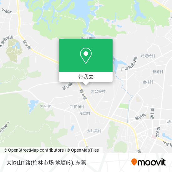 大岭山1路(梅林市场-地塘岭)地图