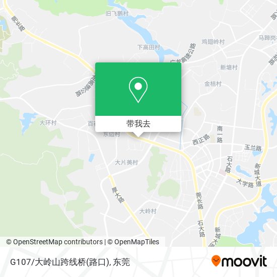 G107/大岭山跨线桥(路口)地图