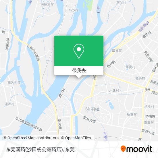 东莞国药(沙田杨公洲药店)地图