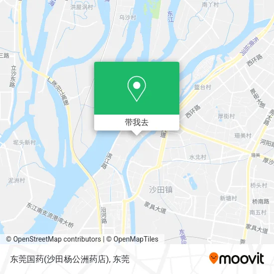 东莞国药(沙田杨公洲药店)地图