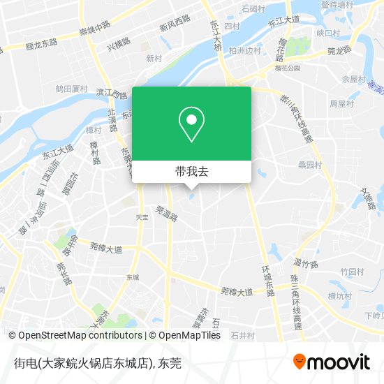 街电(大家鲩火锅店东城店)地图
