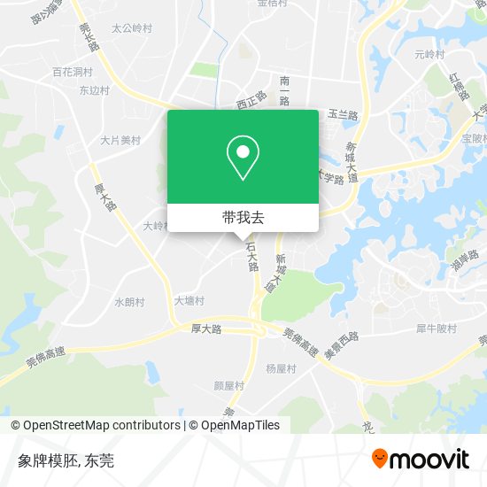 象牌模胚地图