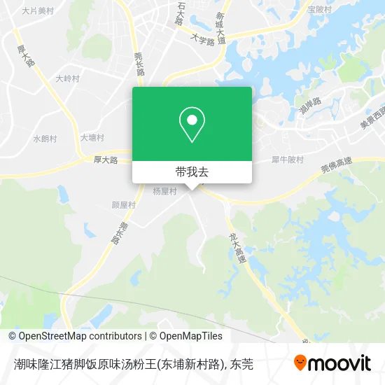 潮味隆江猪脚饭原味汤粉王(东埔新村路)地图