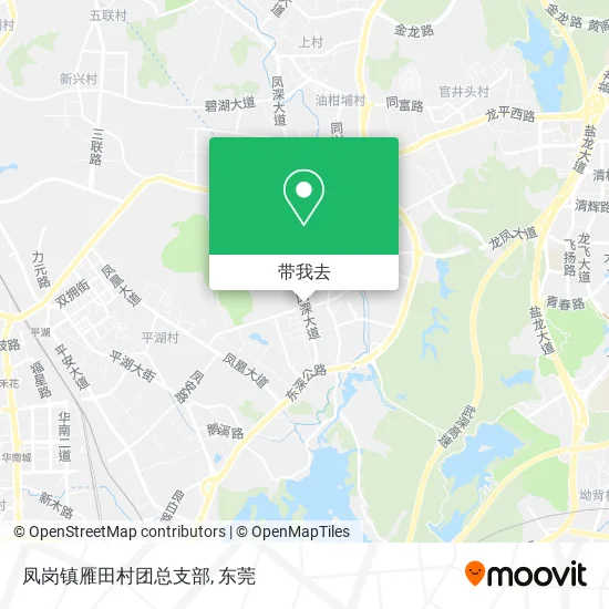 凤岗镇雁田村团总支部地图